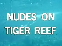 Vintage - Nude On Tiger Reef (1965)