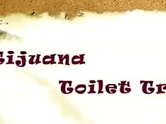 Tijuana Toilet Tramps